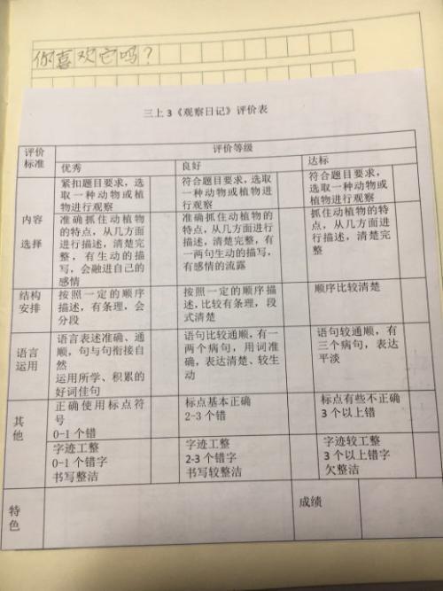 人物观察日记-小学生日记600字
