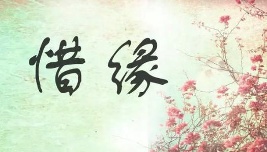 千古文墨，我的知己_750字