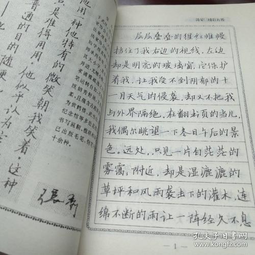 描写青年的精彩片段_1500字