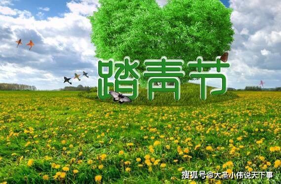 原创 清明节踏青作文5篇 中小学生清明节作文精选