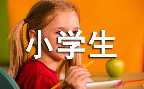 小学生安全作文400字