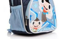 多功能书包-未来的书包作文500字