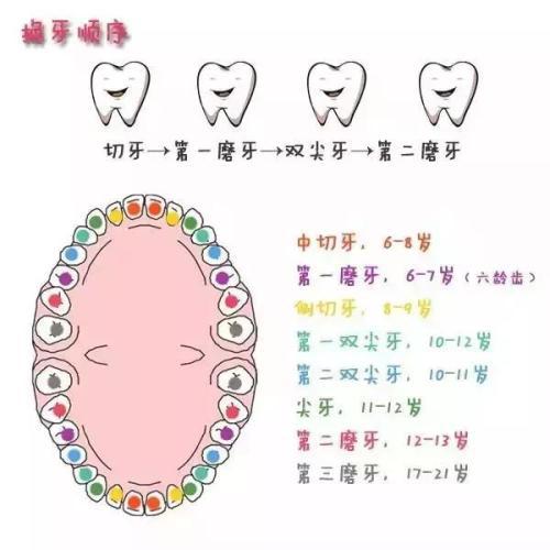 关于牙齿的作文：两颗牙_700字