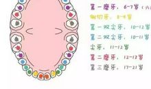 关于牙齿的作文：两颗牙_700字