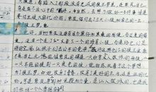 高二读后感：狼王梦读后感_800字