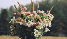 排比引用用得好，满分作文没得跑，精选优美句子，赶紧拿去摘抄！