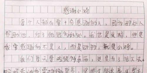 可爱的小鸡-小学生状物作文400字