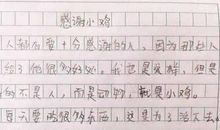 可爱的小鸡-小学生状物作文400字