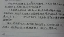 有趣的军训 小学生军训作文400字