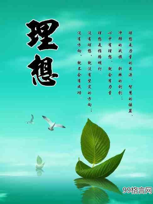 有关追寻理想的名言