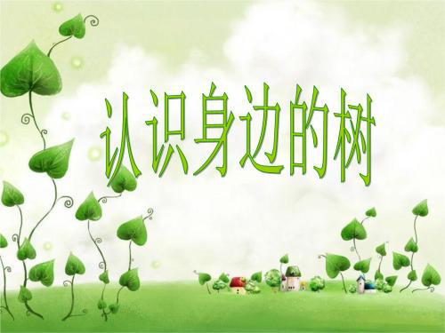 《认识身边的树》教学反思