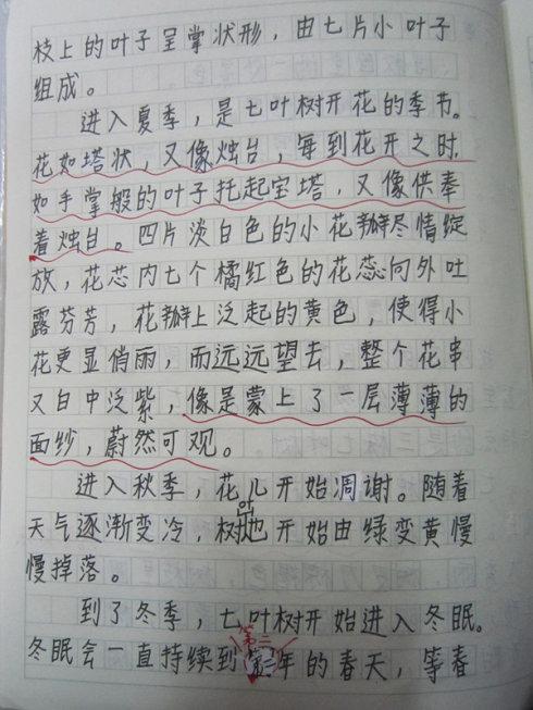 校园优秀的作文范文
