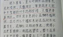 校园优秀的作文范文