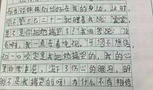 小学生我的家乡作文600字