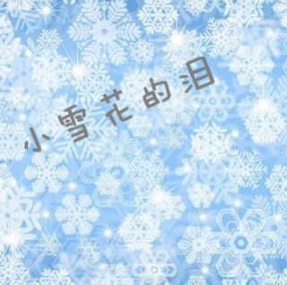 小雪花教学反思