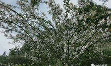 吕飘然：（中小学生优秀作文）留在心底的那抹亮