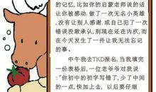 小学校运会周记