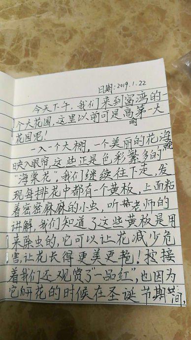 冬令营之煮芋奶作文450字