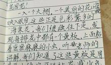 冬令营之煮芋奶作文450字