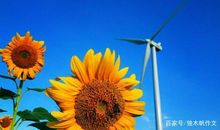 四年级作文：多彩的四季