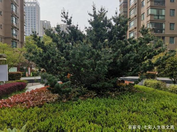《素书》原序,读后感。