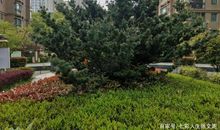 《素书》原序，读后感。