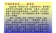 慈母情深 五年级母爱作文400字