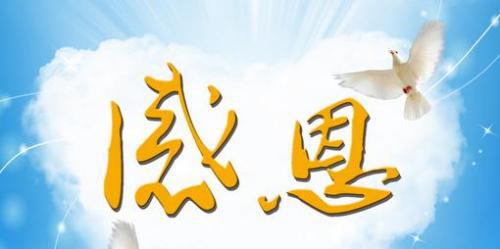 感恩我的亲人_500字