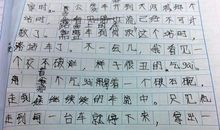 快快快,治病850字作文