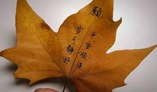 高一状物作文：落叶情丝_750字