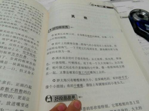 好的作文开头有什么标准