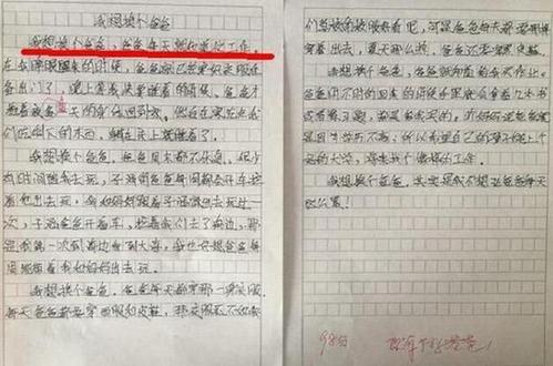 那一刻，全世界都安静了-小学写事作文800字