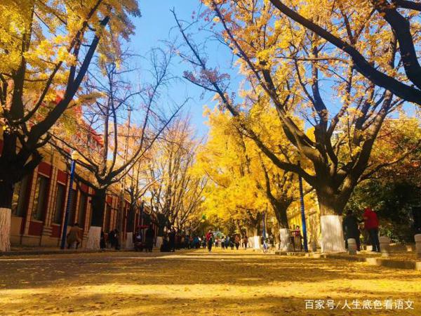 原创 作文反映的问题，就是教育存在并亟需解决的问题 1
