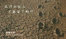 灰蒙的天,泥泞的路的作文