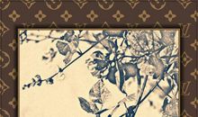 满架秋风扁豆花-优秀状物作文600字