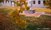 原创 作文反映的问题，就是教育存在并亟需解决的问题