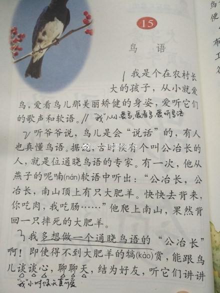 扎根本心 |江苏一考生考场作文