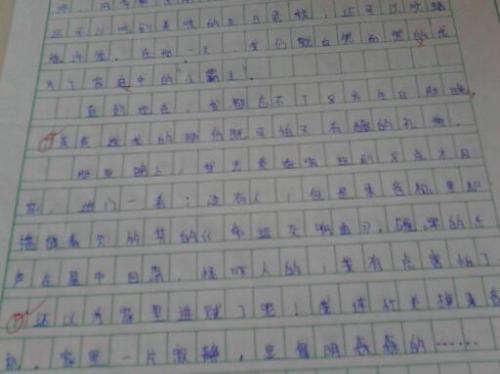 关于责任的作文：责任，童年和一辈子的记忆_800字