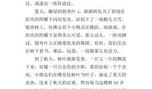 高一说明文作文：家乡的银杏树_650字