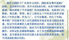 高一说明文作文：荆州的小吃_700字