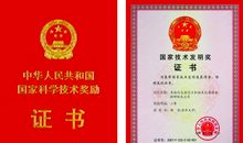 高二书信：十年磨砺的启航_1200字