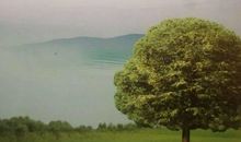 品读｜让科技利剑斩断瘟神——敬素秋《科技进步与人类健康》读后感