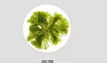 一捧栀子花的香 初一作文600字