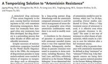 屠呦呦 高中生写人作文900字