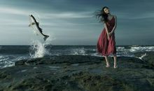 原创 2020届高考作文指导系列之十三：这些作文凭什么获得满分五