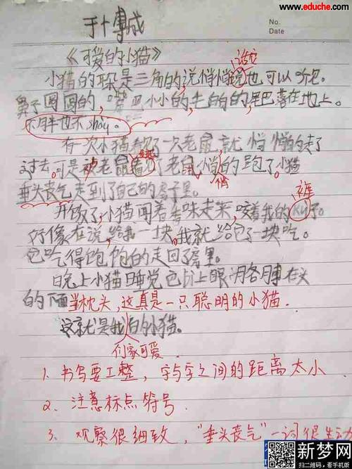 我们是一家人 初中生亲情作文400字