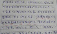 2005年江苏高考优秀作文：豹子飞奔_900字