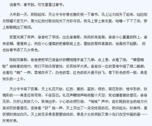 难忘的春节 快乐难忘的春节作文300字