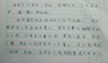 记一次足球比赛 六年级足球比赛作文700字