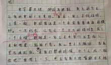 我心中的明星 初一作文600字